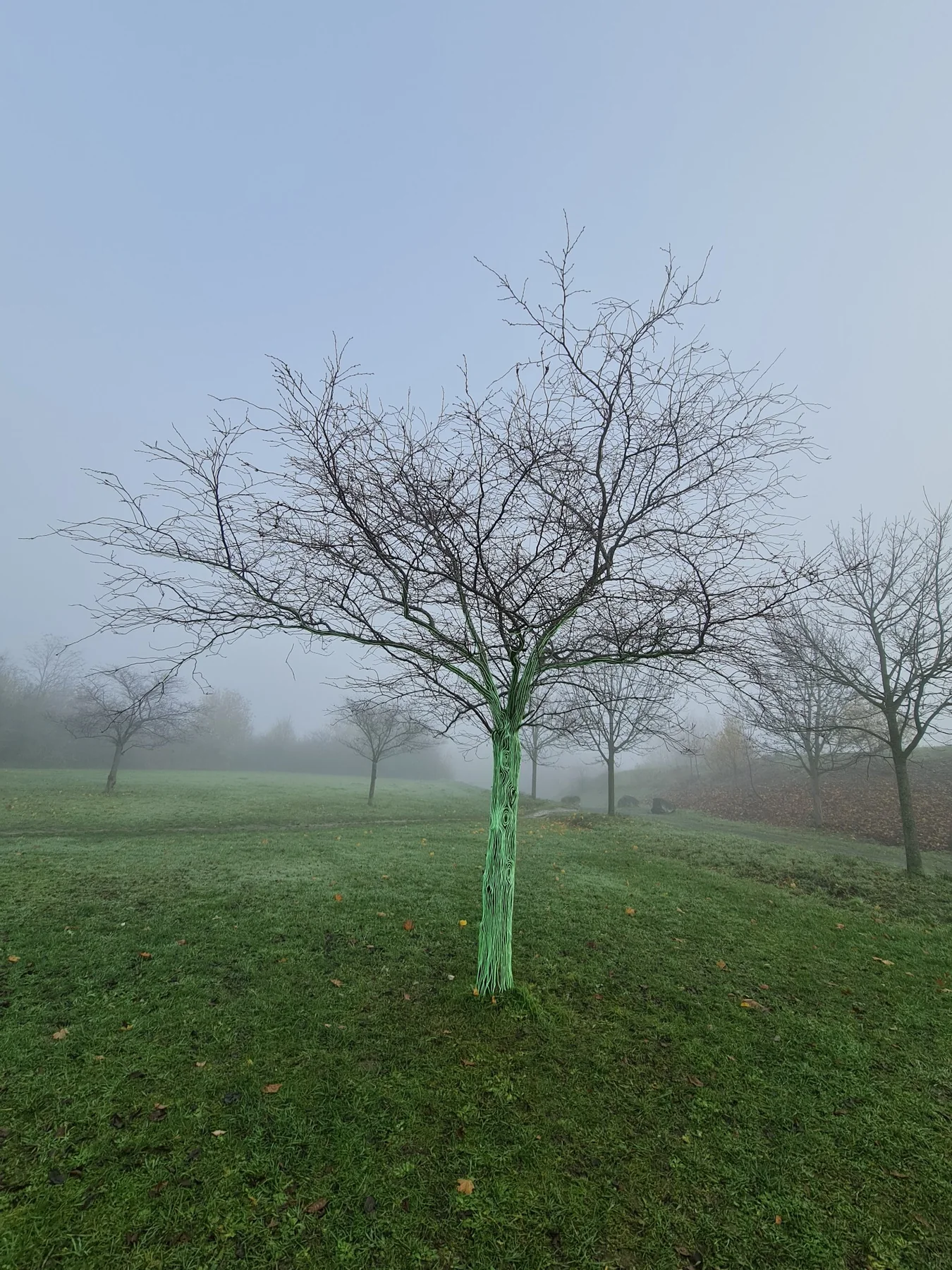 Bootcamp commando du 29 novembre 2022 — photo 4